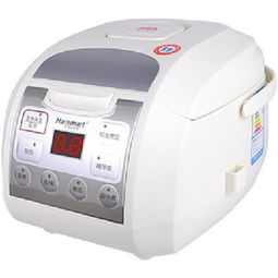 鸿智HR FS302电饭煲 3L容量厨房小神器与深层解析